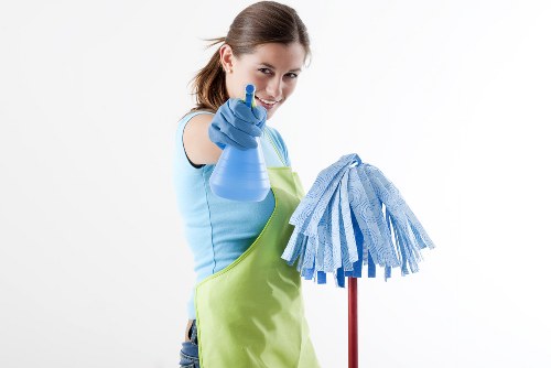Professional pet stain and odour removal for carpeted home in Ealing