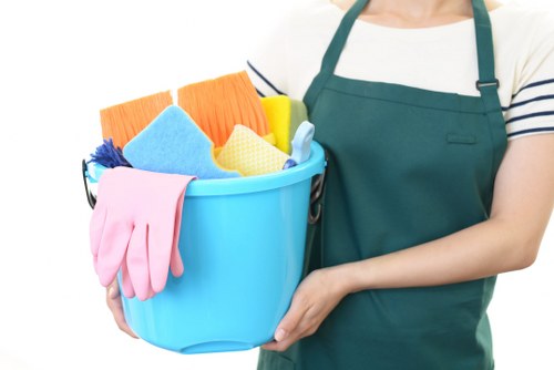 Illustration representing essential cookies on the Ealing Carpet Cleaning website