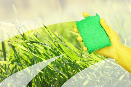 Accessibility statement intro for Ealing Carpetcleaning