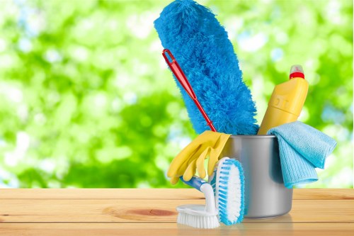 Professional carpet cleaning company introducing its about us story