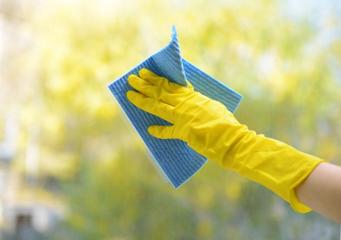 Upholstered bed and mattress cleaning in Ealing