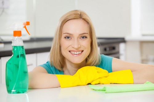 Risk assessment during carpet cleaning in a home interior