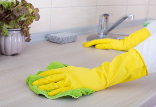 Professional oven cleaning service in an Ealing kitchen