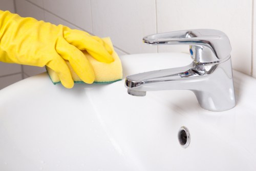 Carpet cleaning service terms and conditions introduction