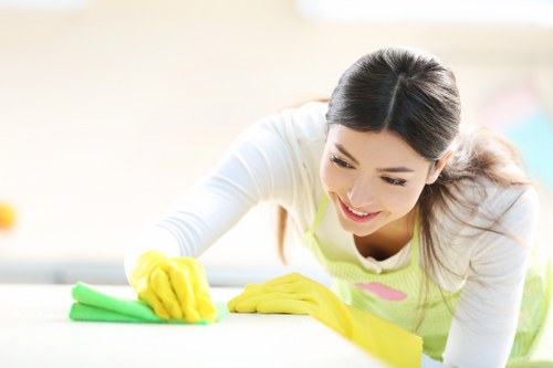 Legal and liability terms for carpet cleaning services