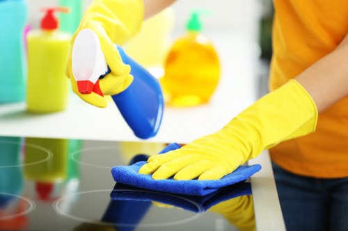 Kitchen deep clean for a move-out property in Ealing