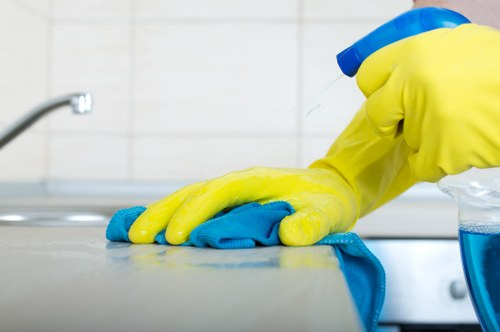 Review of carpet cleaning service details during a complaint investigation