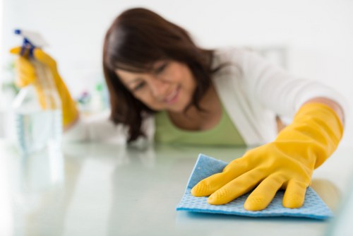Local cleaning specialist treating pet urine stain in an Ealing property