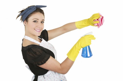 Stain removal and deep carpet cleaning in Ealing