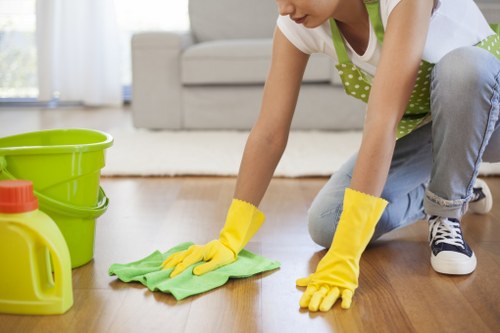 Professional care for lined curtains in an Ealing property