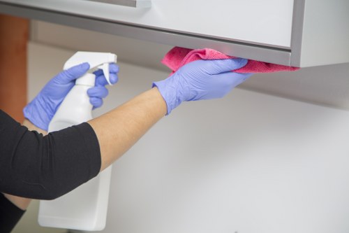Kitchen appliance cleaning for an Ealing property