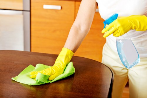 Quality-focused carpet cleaning team describing professional standards